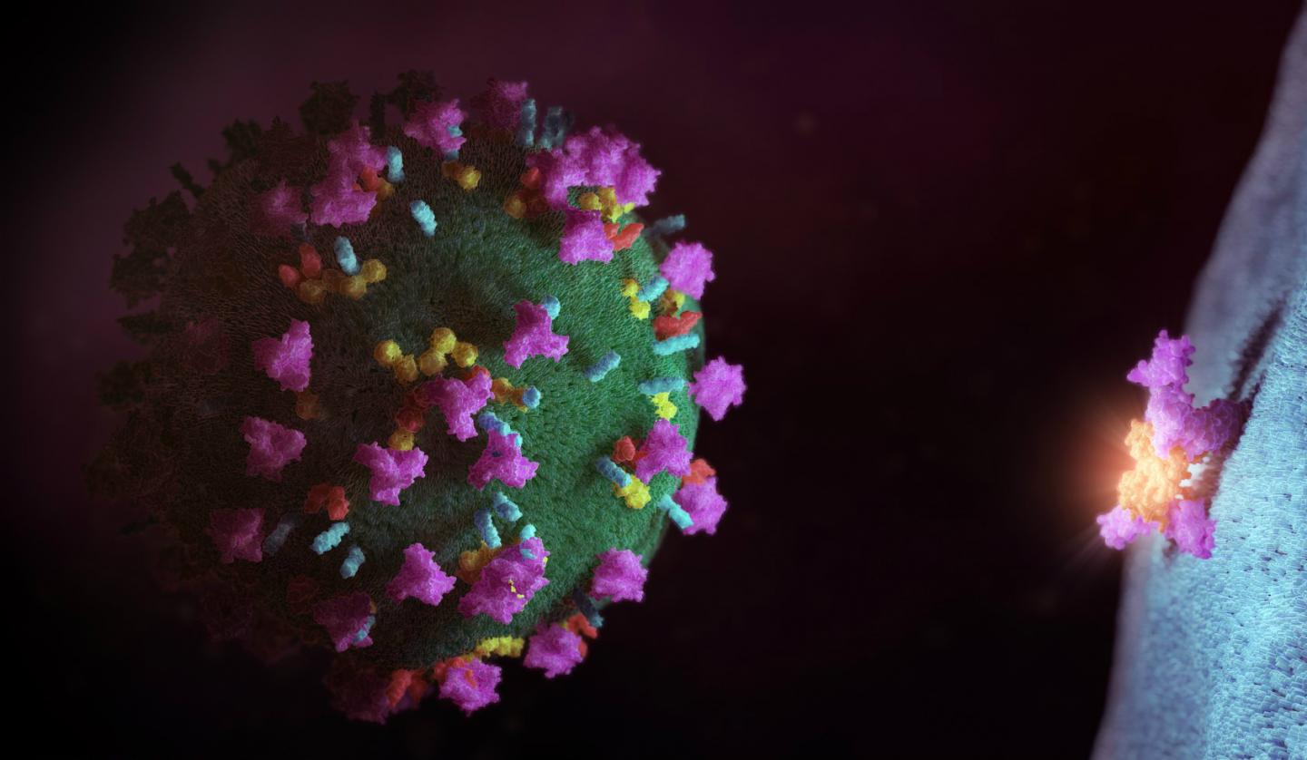 Scientists Have Discovered How HIV Evades the Immune System