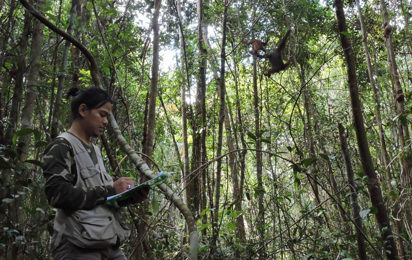 Didik Prasetyo, Rutgers University 