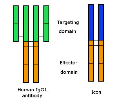 Schematic Representation of the Icon