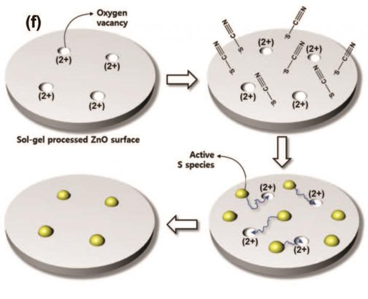 Mechanism of Sulfur Atomic Doping Process