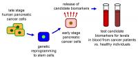 Pancreatic Cancer Biomarkers