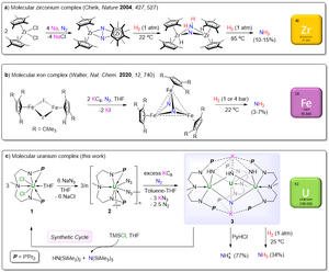 NH3 formation from N2 and H2 promoted by a molecular complex