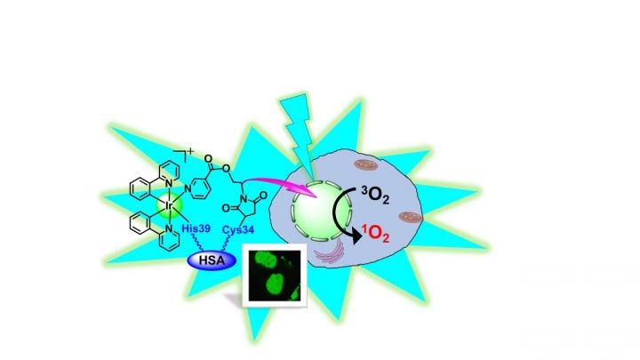 Nuclei Overlap (1 of 3)