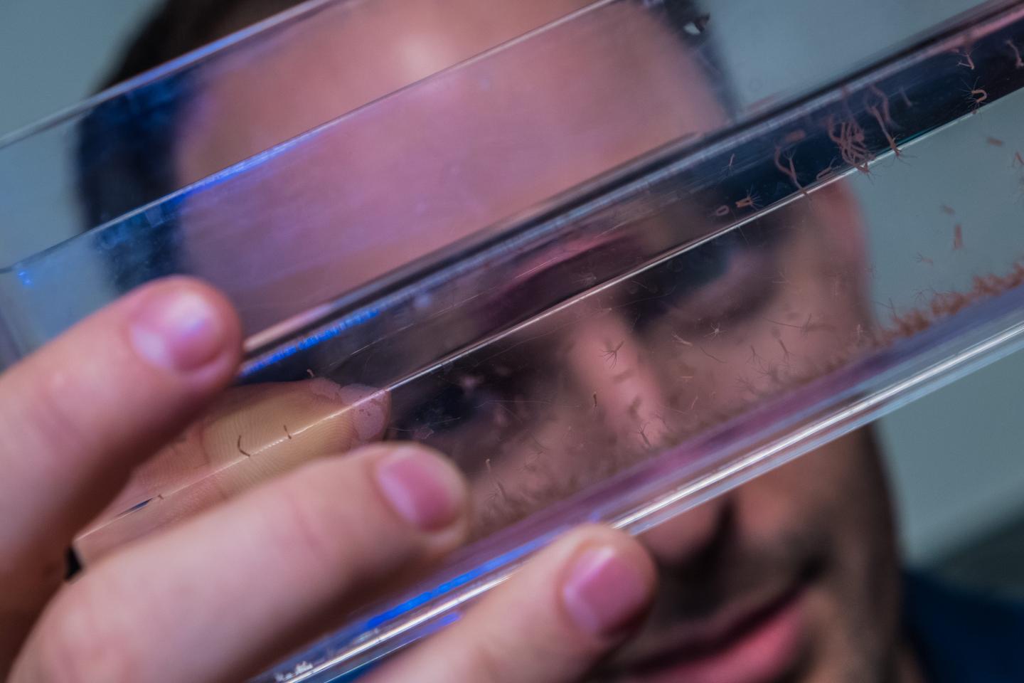 Rice Electrical and Computer Engineer Jacob Robinson