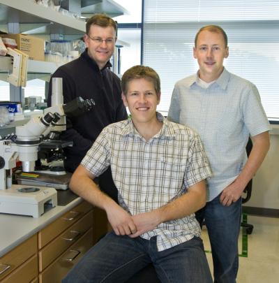 DOE Joint Genome Institute and Berkeley Lab Researchers