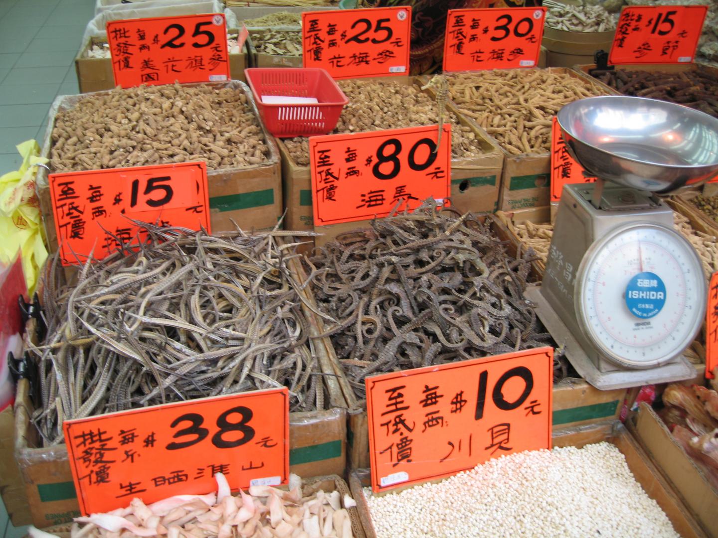 Dried Pipefish and Seahorses on Sale in Hong Kong