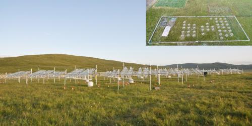 The Landscape of the Long-Term Monitoring Site & the Warming & Precipitation Manipulation Experiment