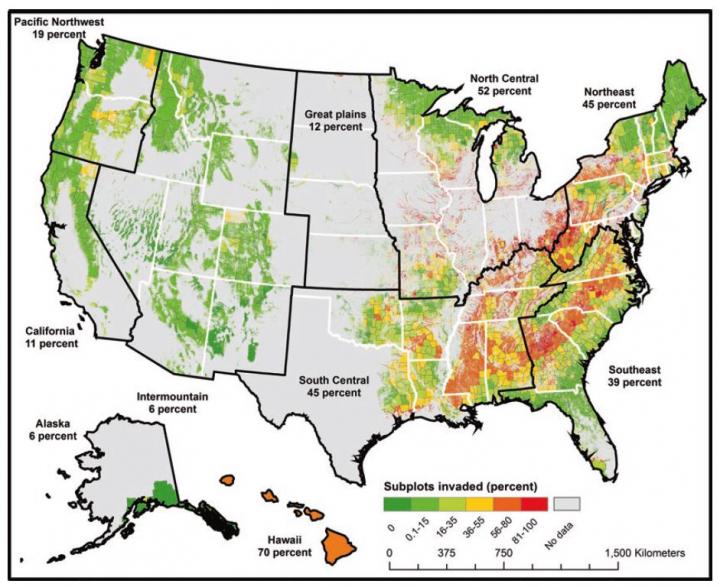 New book delivers overview of invasive species in the United States