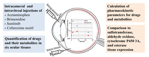 Intracameral and intravitreal pharmacokinetics of drugs and their metabolites formation