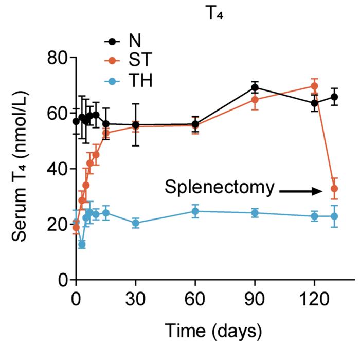 Serum hormone levels in hypothyroid mice