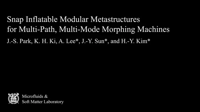 Demonstration of robots that function in different forms by self-reconfiguration on demand