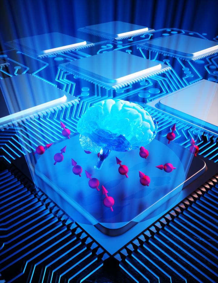 Spinage Illustration