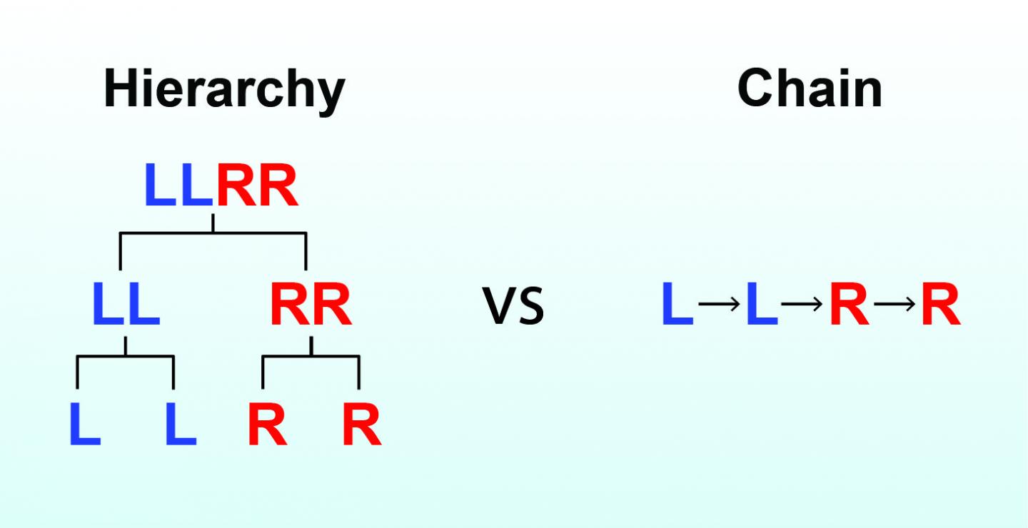 Salk Institute -- Jin Lab -- Organization