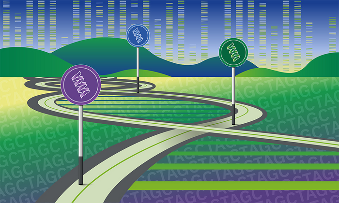 Uncharted territories in the human genome