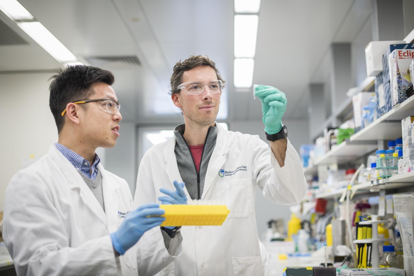 Dr Alan Yu and Associate Professor Seth Masters