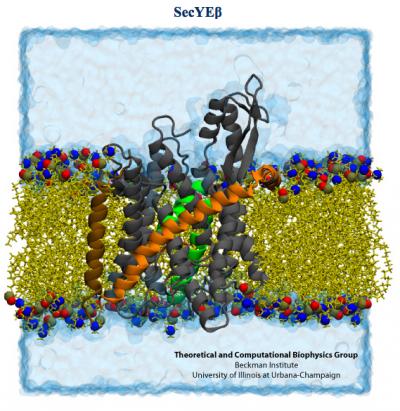 SecY Protein Channel