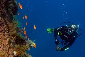 Prof. Shenkar during a research dive.