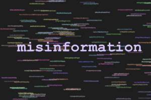 Individual differences in sharing false political information on social media: Deliberate and accidental sharing, motivations and positive schizotypy