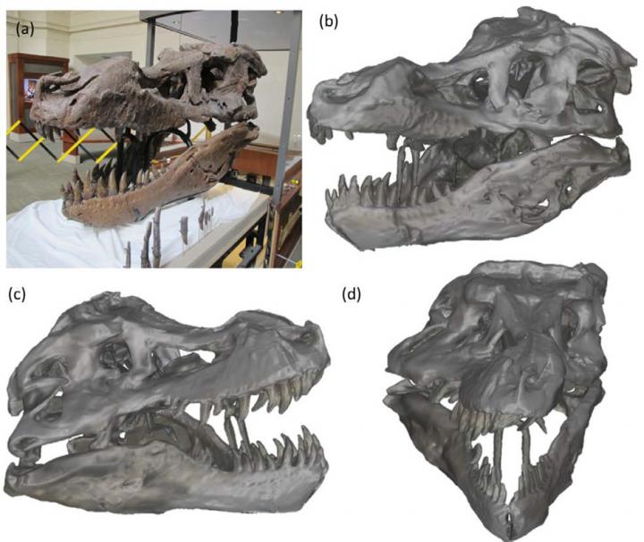Scanning <em>T. rex</em> 2