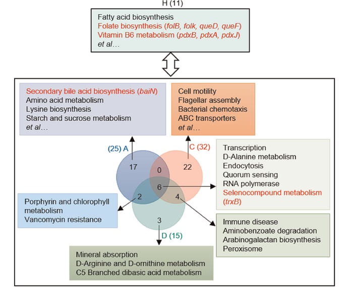 Microbial functional pathways enriched in COVID-19 patients and healthy participants.