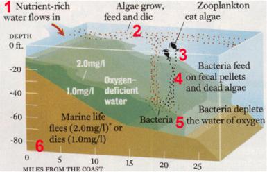 Hypoxia -- How it Forms