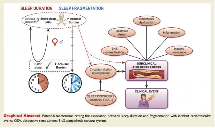 Disrupted Sleep Is Linked to Increased Risk of Death, Particularly in Women