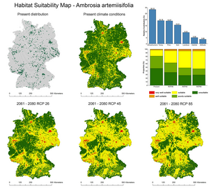 Forecast spread of ragweed in Germany