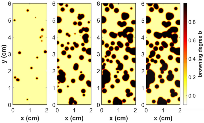 Browning simulation