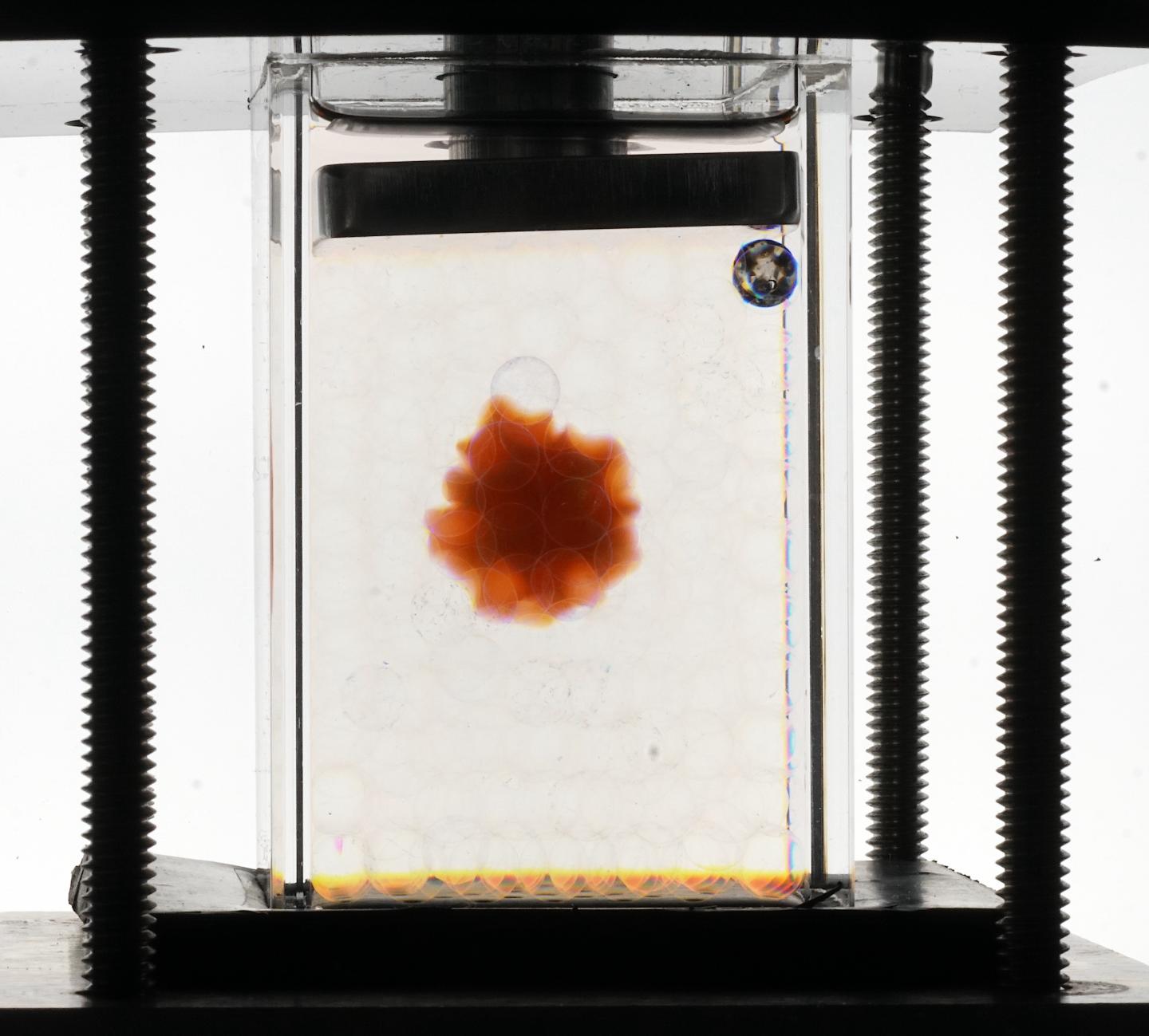 A clear view of hydrogel