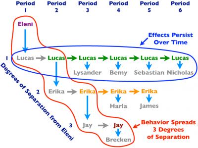 Cooperation in a Social Network