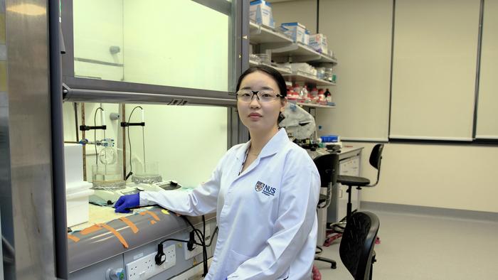 NUS researchers pioneer DNA-tagged gold nanoparticles for targeted cancer treatment