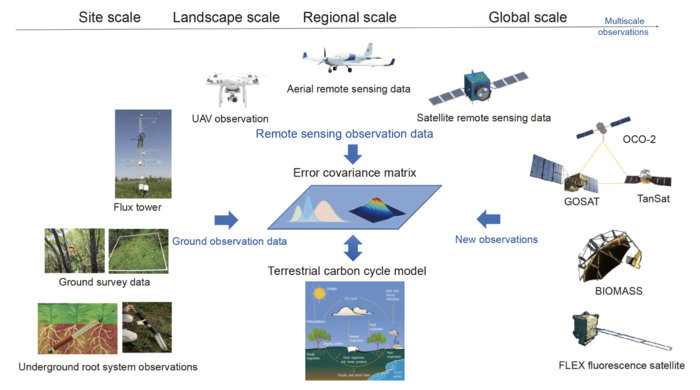 Schematic plot of multisource and multiscale terrestrial carbon cycle data assimilation