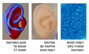 Visual demonstrating the research process