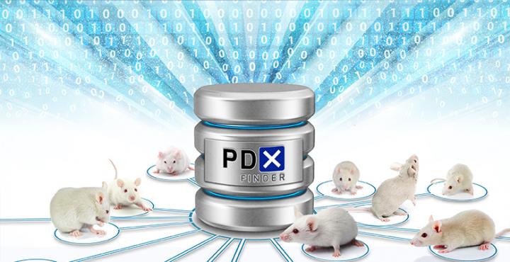 PDX Finder