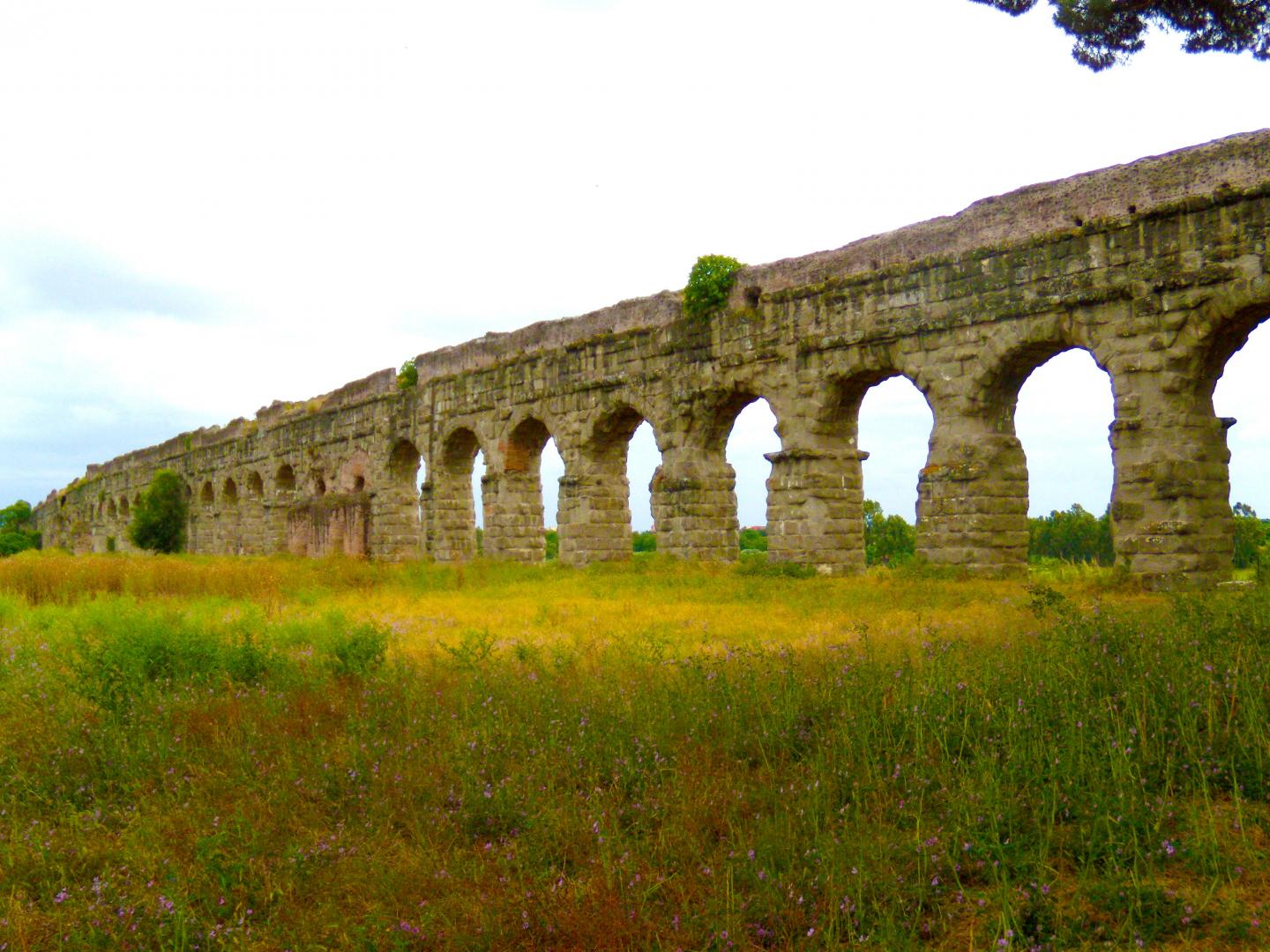 Anio Novus Aqueduct