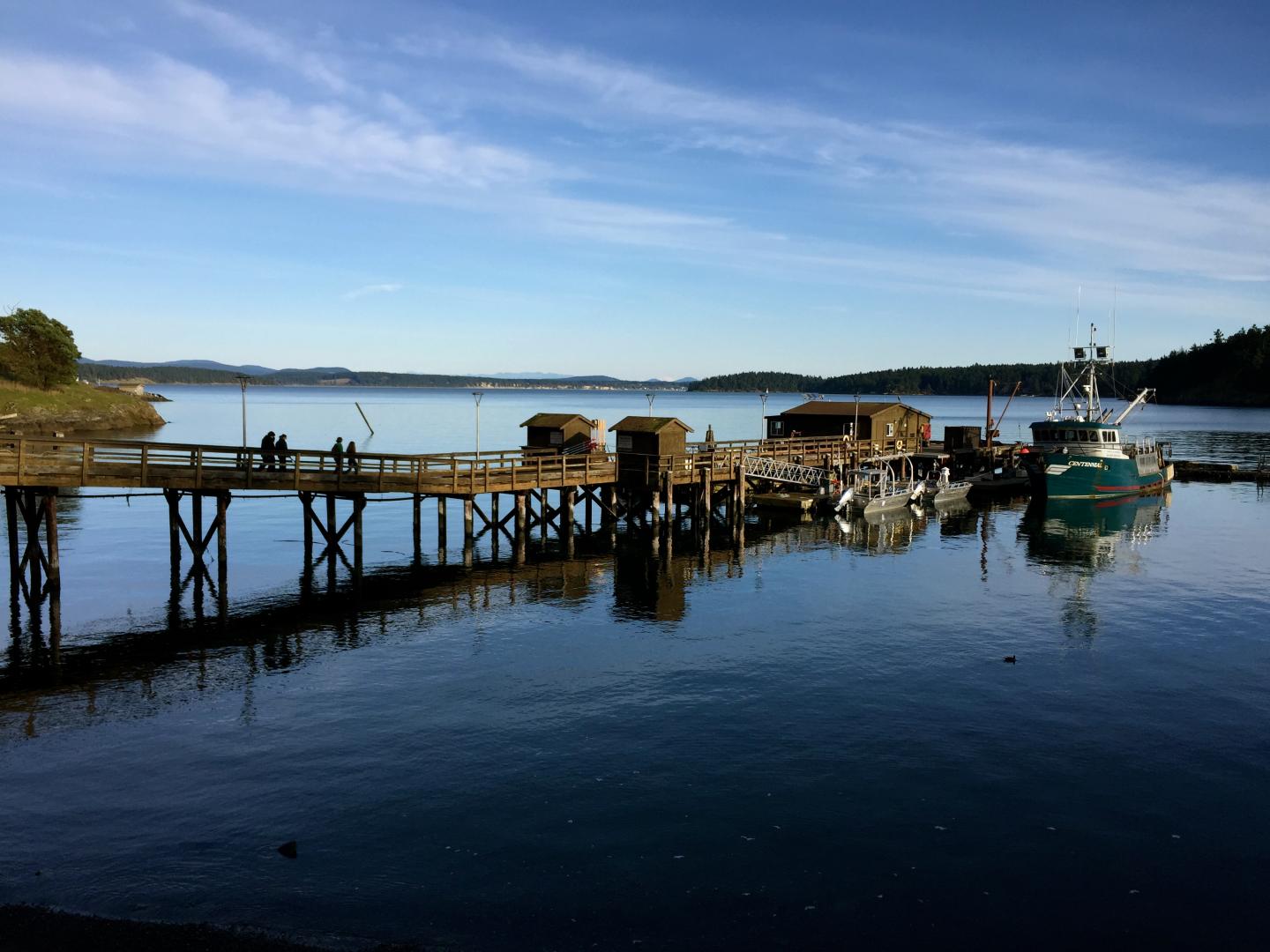 Friday Harbor Labs