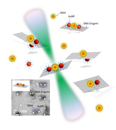 DNA and Quantum Dots: All That Glitters is Not Gold
