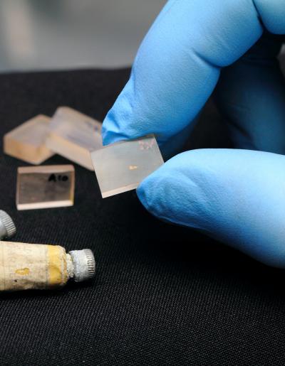 Microsamples Ready for Study with X-rays