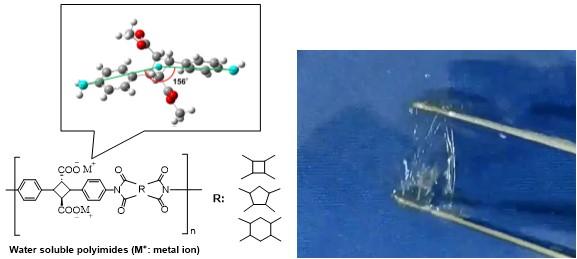 Water-Soluble Biopolyimides