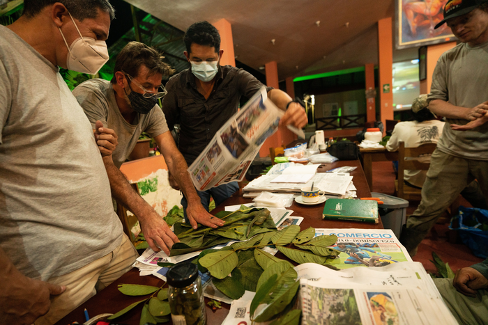 Leaf pressing