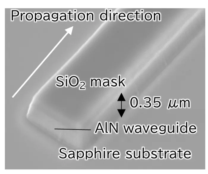 Fig. 2