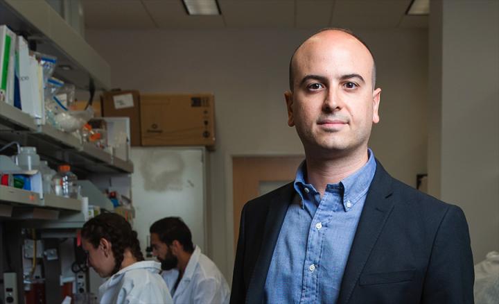 Nicholas Stephanopoulos, Arizona State University