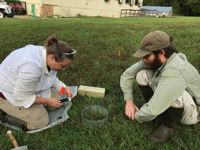 Nitrogen Runoff Experiment
