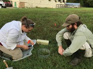 Nitrogen Runoff Experiment