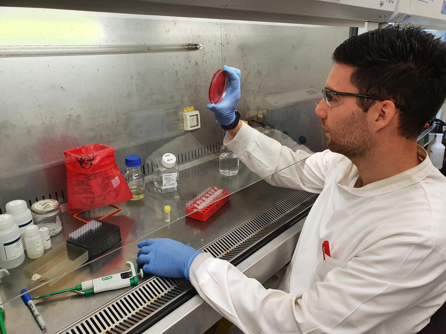 Dr David De Oliveira in the lab