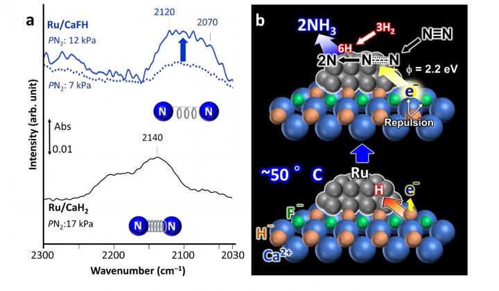 Spectroscopic Measurement Results and Possible Reaction Mechanism