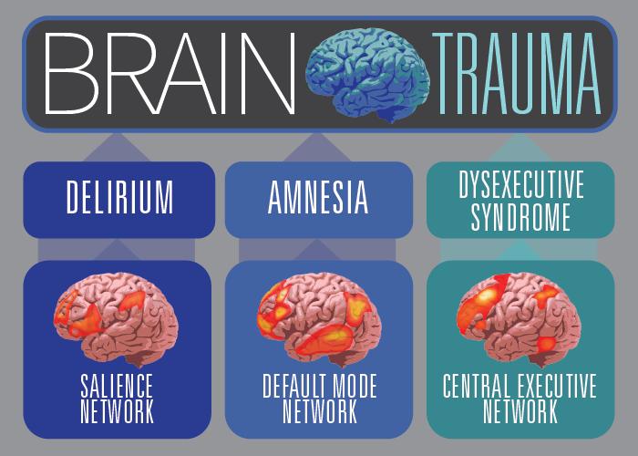 A Neuroscientific Take on Traumatic Brain Injury