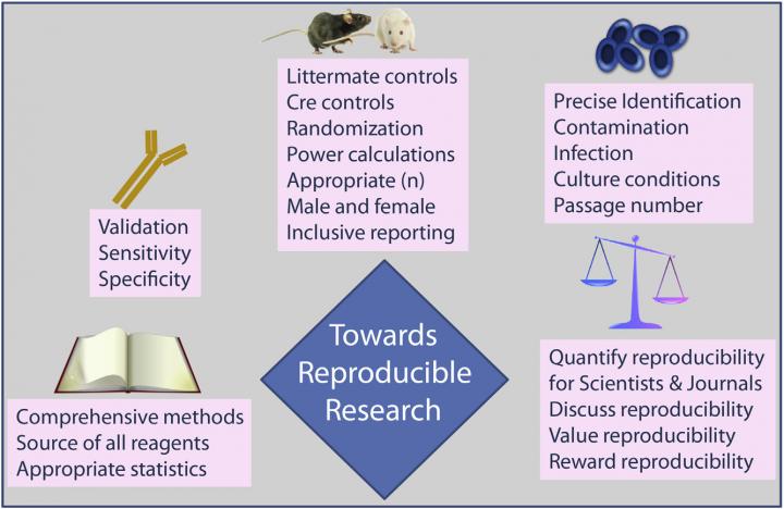 Strategies to Enhance Research Reproducibility