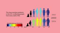 Demographics of the Drug Overdose Epidemic (2 of 2)