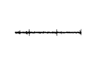 Drosophila melanogaster courtship song